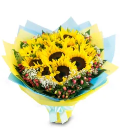 12 sunflowers in vase