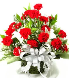 20 Premium Carnations and 2 White long lilies