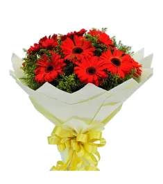 10 Red Gerberas