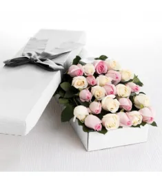 2 Dozen Cream and Light Pink Roses in a Box Delivery to Philippines