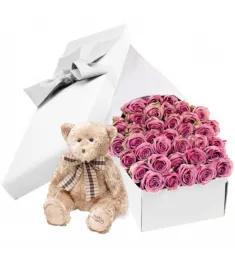 Teddy Bear and 36 Pink Roses in a Box Online Order to Philippines