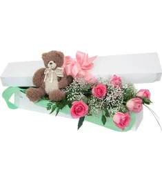 Teddy Bear and 6 Pink Roses in a Box Online Order to Philippines