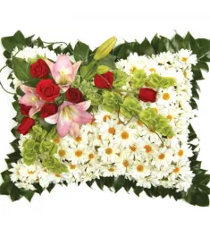 Chrysanthemum Pillow  Send to Philippines