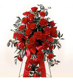 Red Carnations and Roses  Send to Philippines