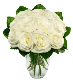 One Dozen White Roses Send to Philippines,Roses to Philippines