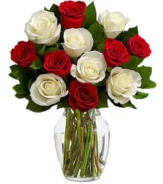 12 X-mas Mixed Roses