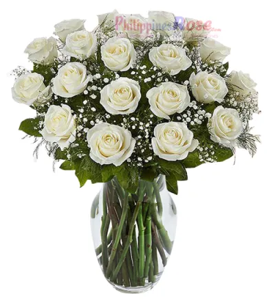 24 White Roses Send to Philippines