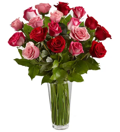 24 Hot Red & Pink Roses Send to Philippines