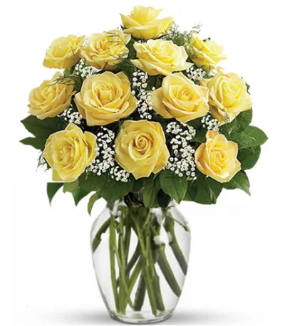 12 Yellow Roses Send to Philippines,Roses to Philippines