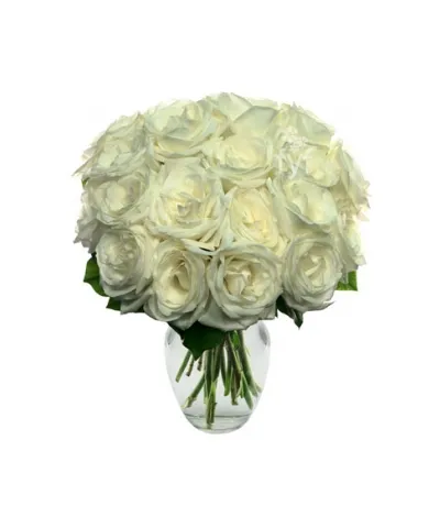 18 White Roses Send to Philippines