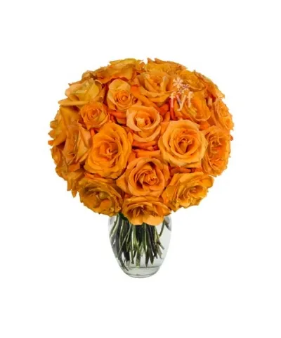 24 Orange Roses Send to Philippines