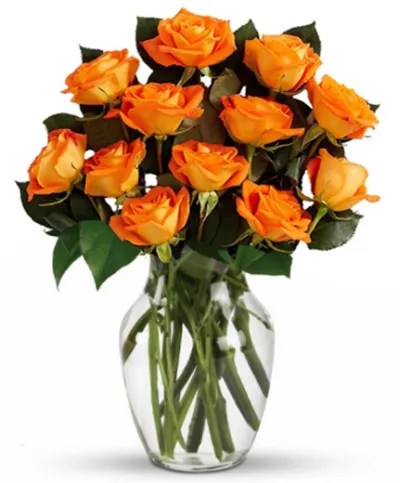 12 Orange Roses Send to Philippines,Roses to Philippines